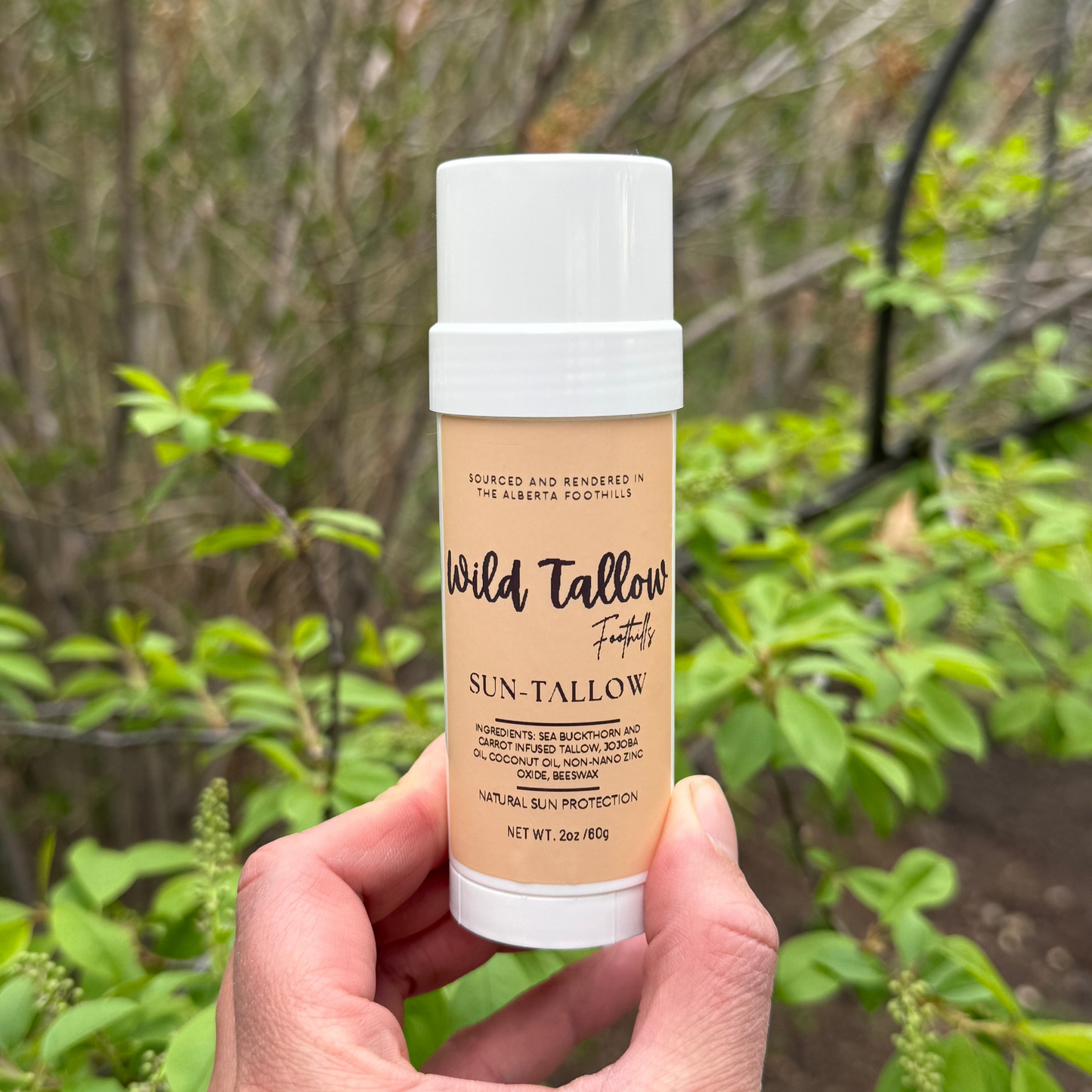 Sun-Tallow